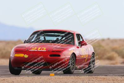 media/Feb-17-2024-Nasa AZ (Sat) [[ca3372609e]]/4-Race Group A/Session 2 Qualify (Turn 16)/